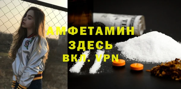сатива Кукмор