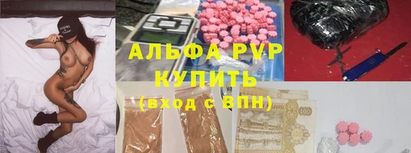 сатива Кукмор