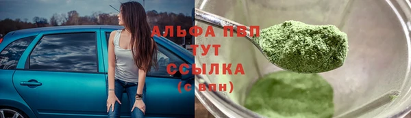 сатива Кукмор