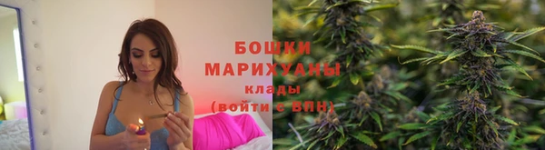 альфа пвп Нижневартовск
