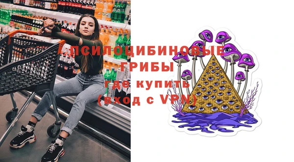 сатива Кукмор