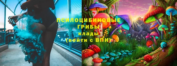 сатива Кукмор
