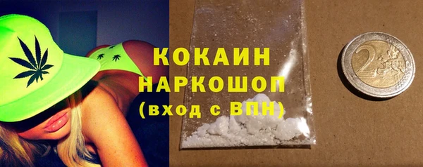 сатива Кукмор