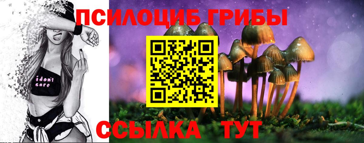 Псилоцибиновые грибы Psilocybine cubensis Лобня